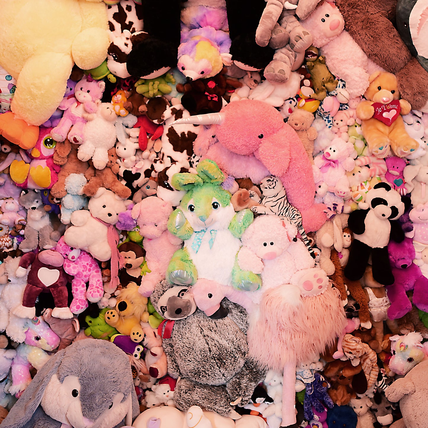 Louez notre mur d'ours en peluche